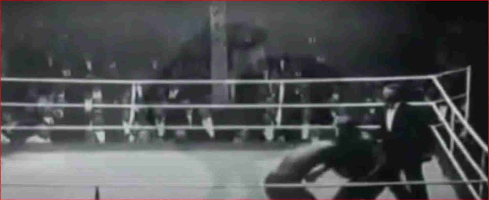 The Greatest Fighter To Never Win A World Title 2 The Greatest Fighter To Never Win A World Title