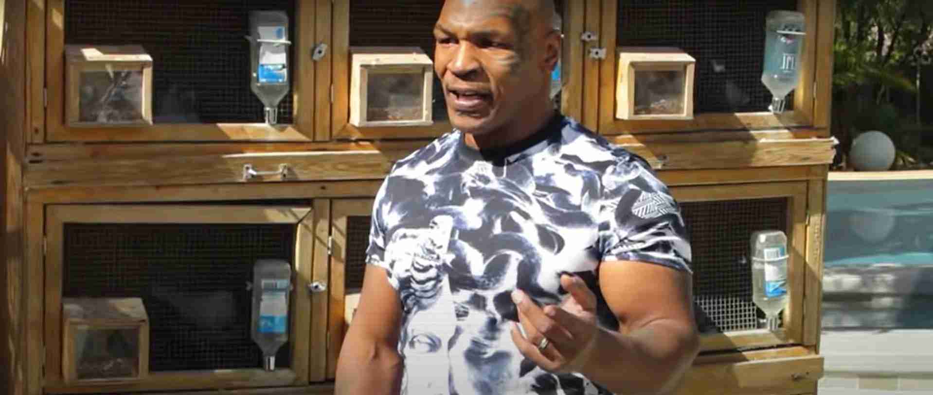 Tyson Takes Love Of Pigeons To New Level