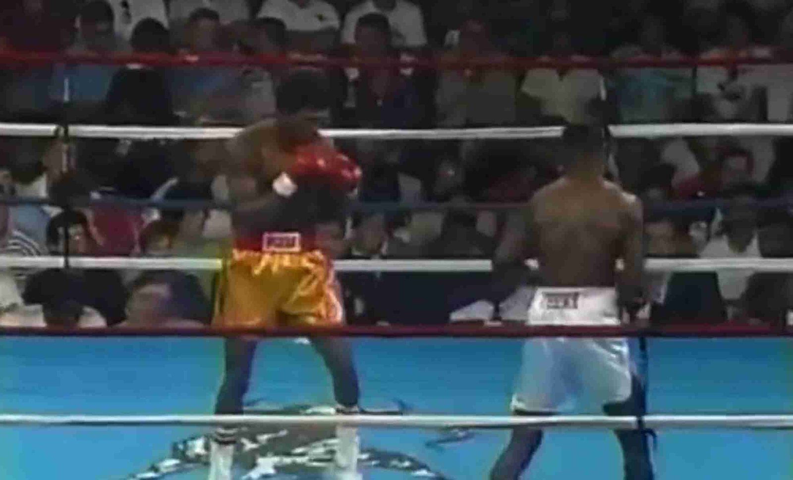 Boxing trainer recalls one unsung pound for pound champion of the world