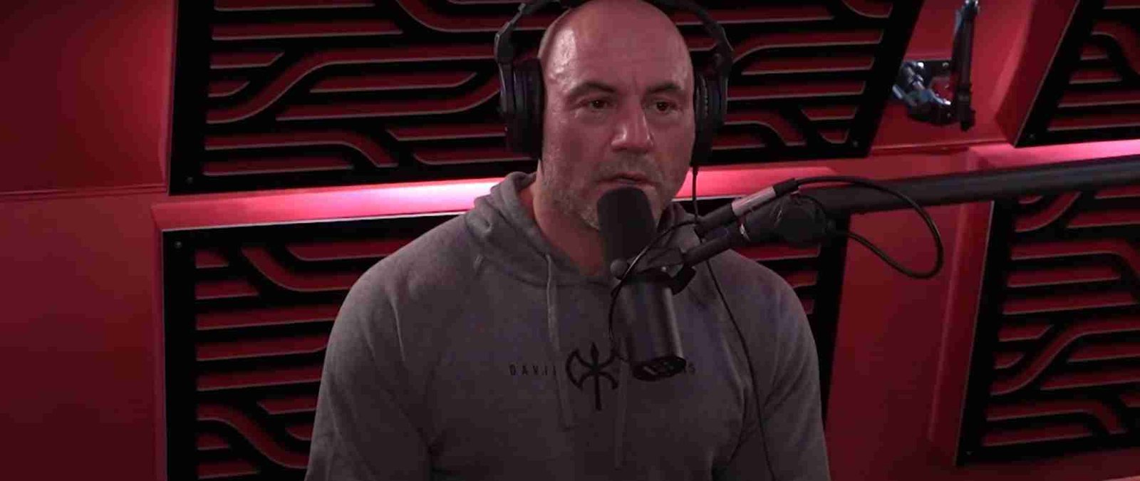 Joe Rogan speaks on the New Mike Tyson 2 Joe Rogan speaks on the New Mike Tyson
