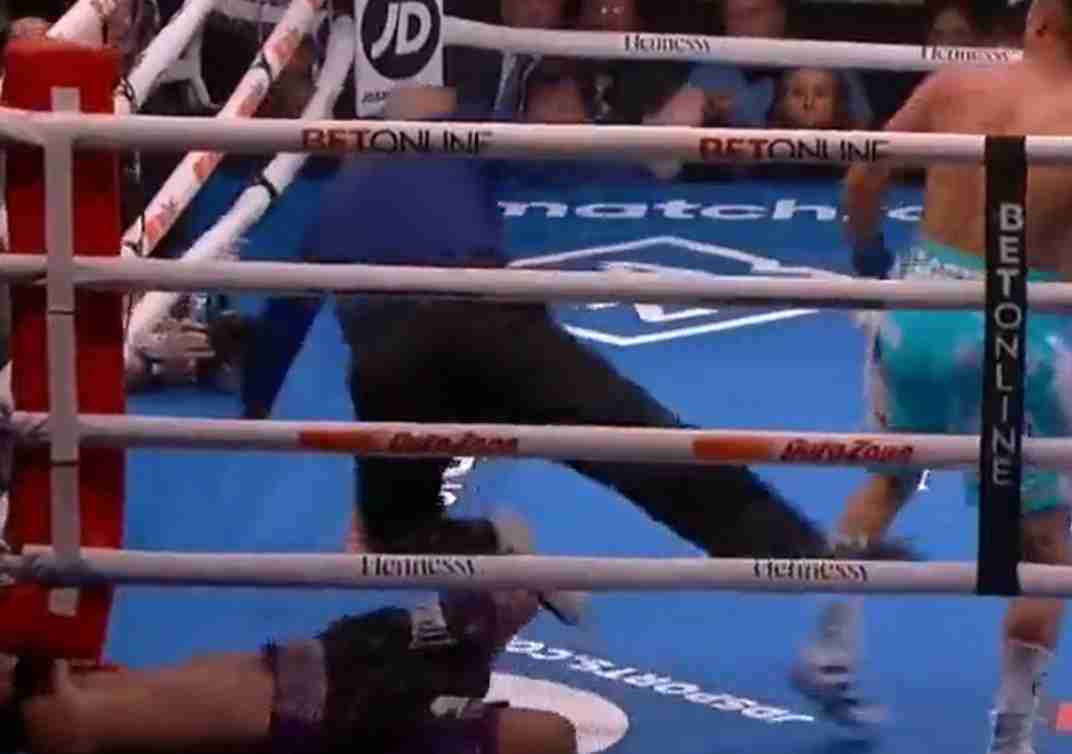 wild knockout drops referee in the process