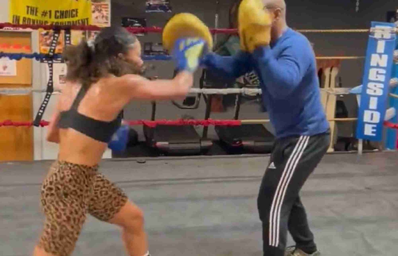 Boxing Beauty Working On Mitt Work