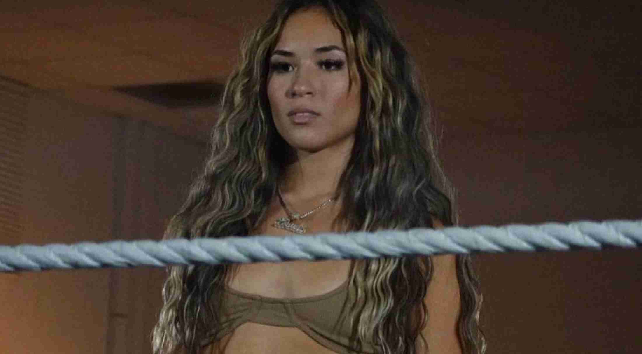 Fight Stunner Grabs Attention After WWE Move