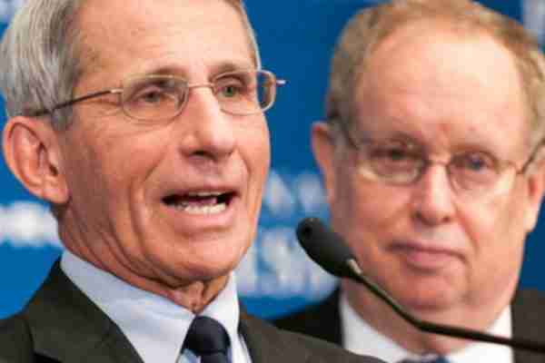 Fauci In New Trouble Over Covid Handling