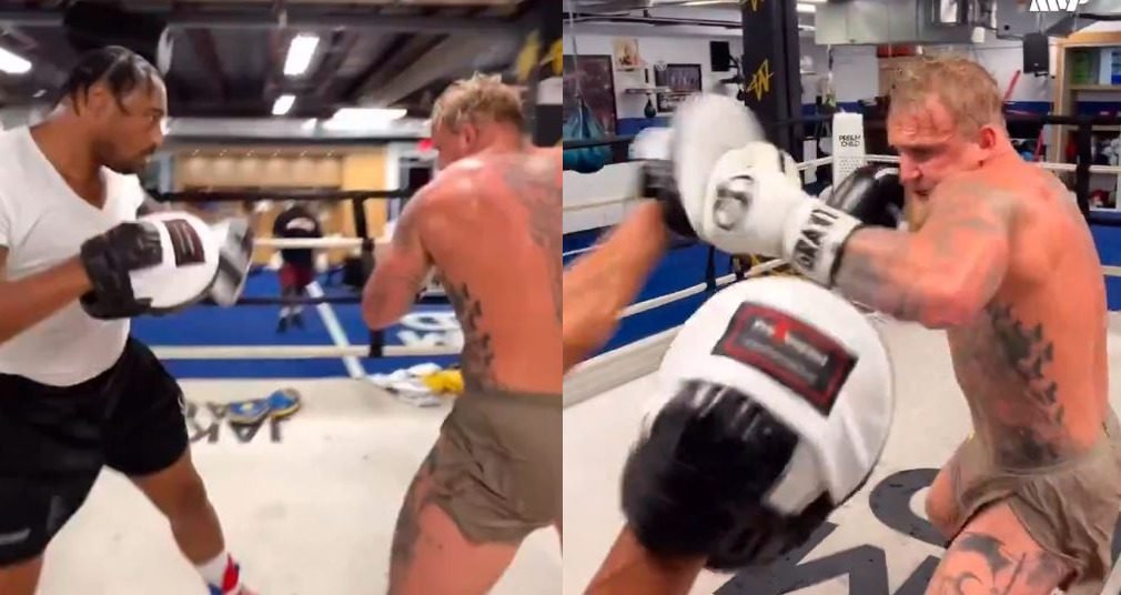 Cruiserweight Jake Paul Emerges