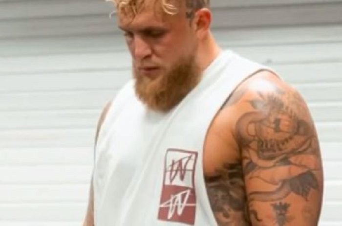 Jake Paul Lost 38 Pounds Before Perry Fight