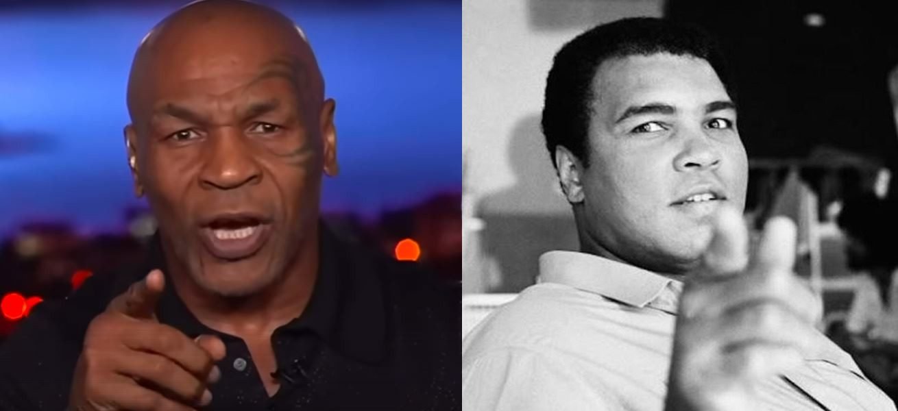 why is boxing more popular than mma