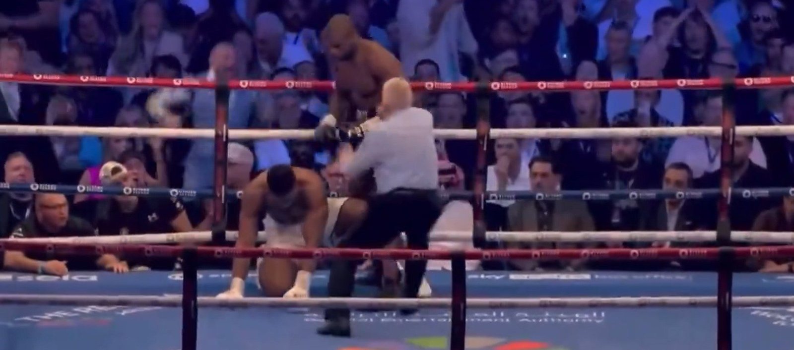 Watch: Daniel Dubois Decks Anthony Joshua In Round 1! 1 Daniel Dubois Decks Anthony Joshua In Round 1