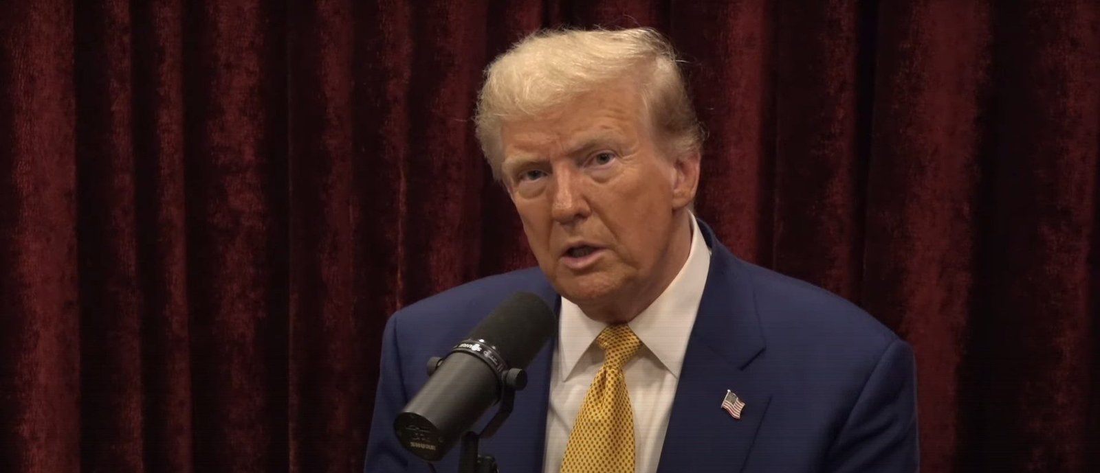 Donald Trump And Joe Rogan Talk About Boxing