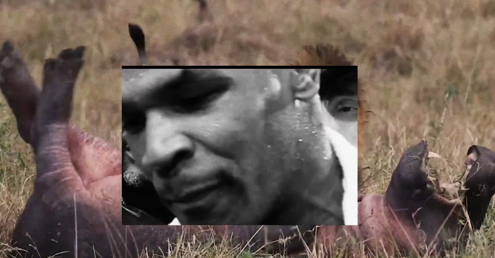 Mike Tyson Sends Jake Paul Chilling Warning Ahead Of Fight 2 Mike Tyson Sends Jake Paul Chilling Warning Ahead Of Fight