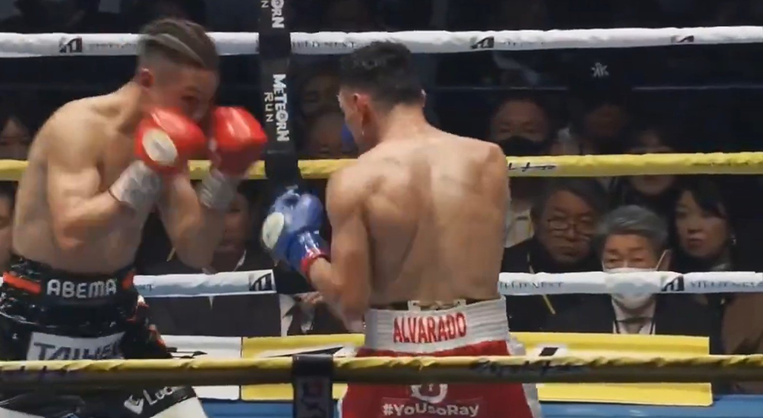 New Japanese Contender Wins Big Over New Years
