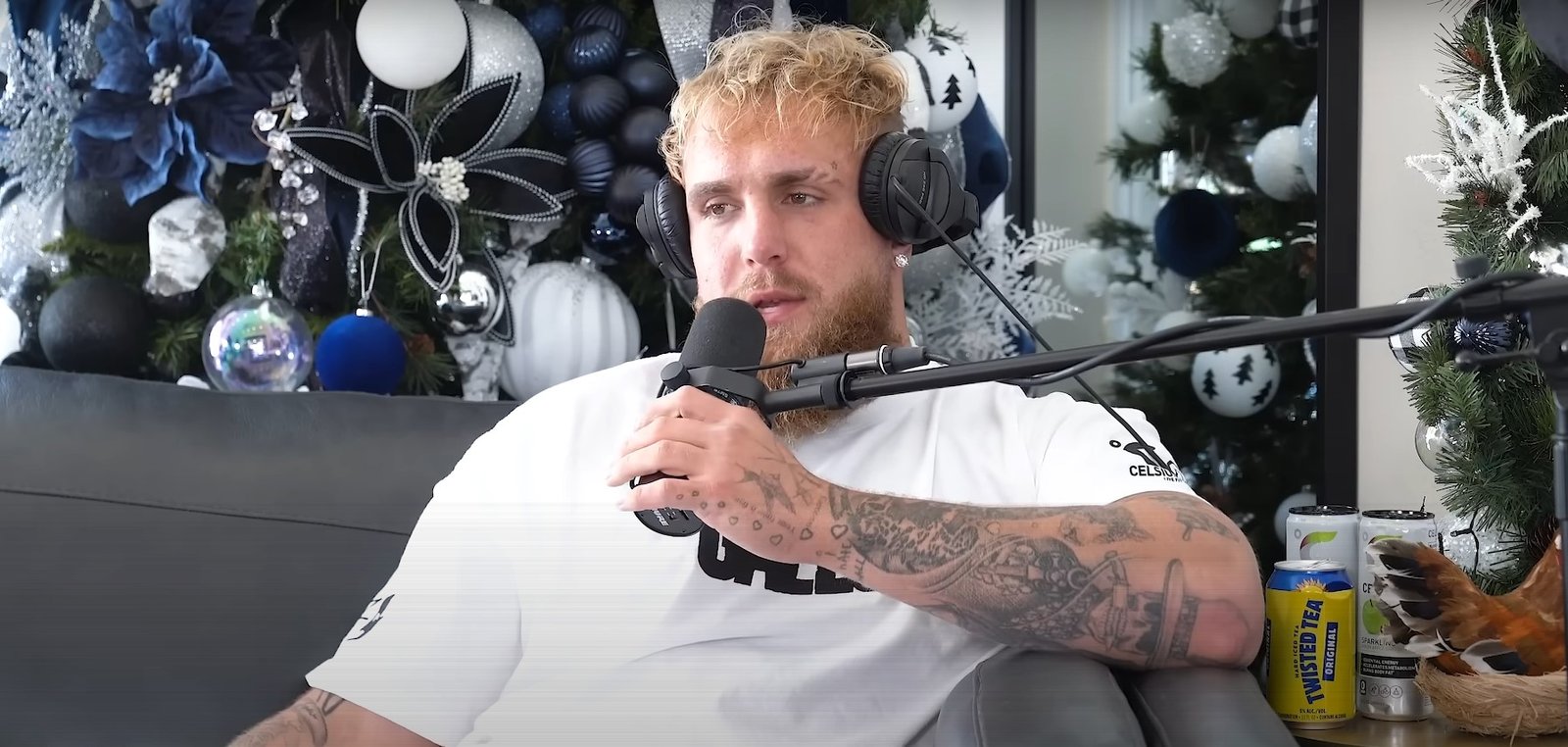 Jake Paul Brings Up Conor McGregor While Blasting Canelo