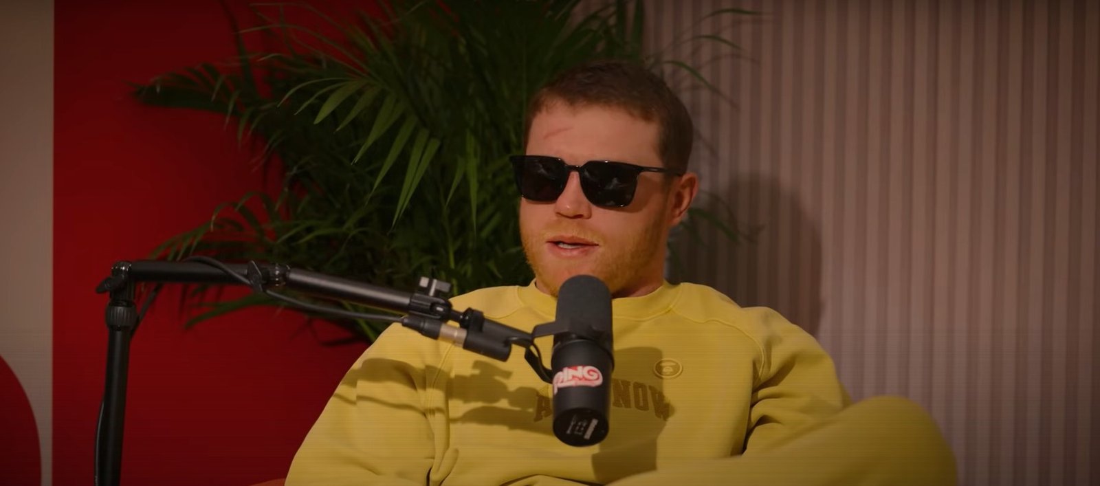 Promoter Of Canelo vs Terence Crawford Super Fight May Surprise People