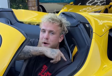 Jake Paul Turns Chávez Jr Into A Meme Fest – Animals, Sweets, And Skin Shots!