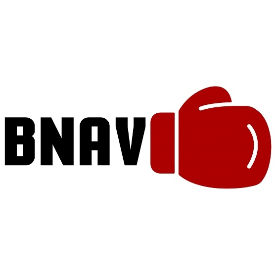 boxing news and views logo