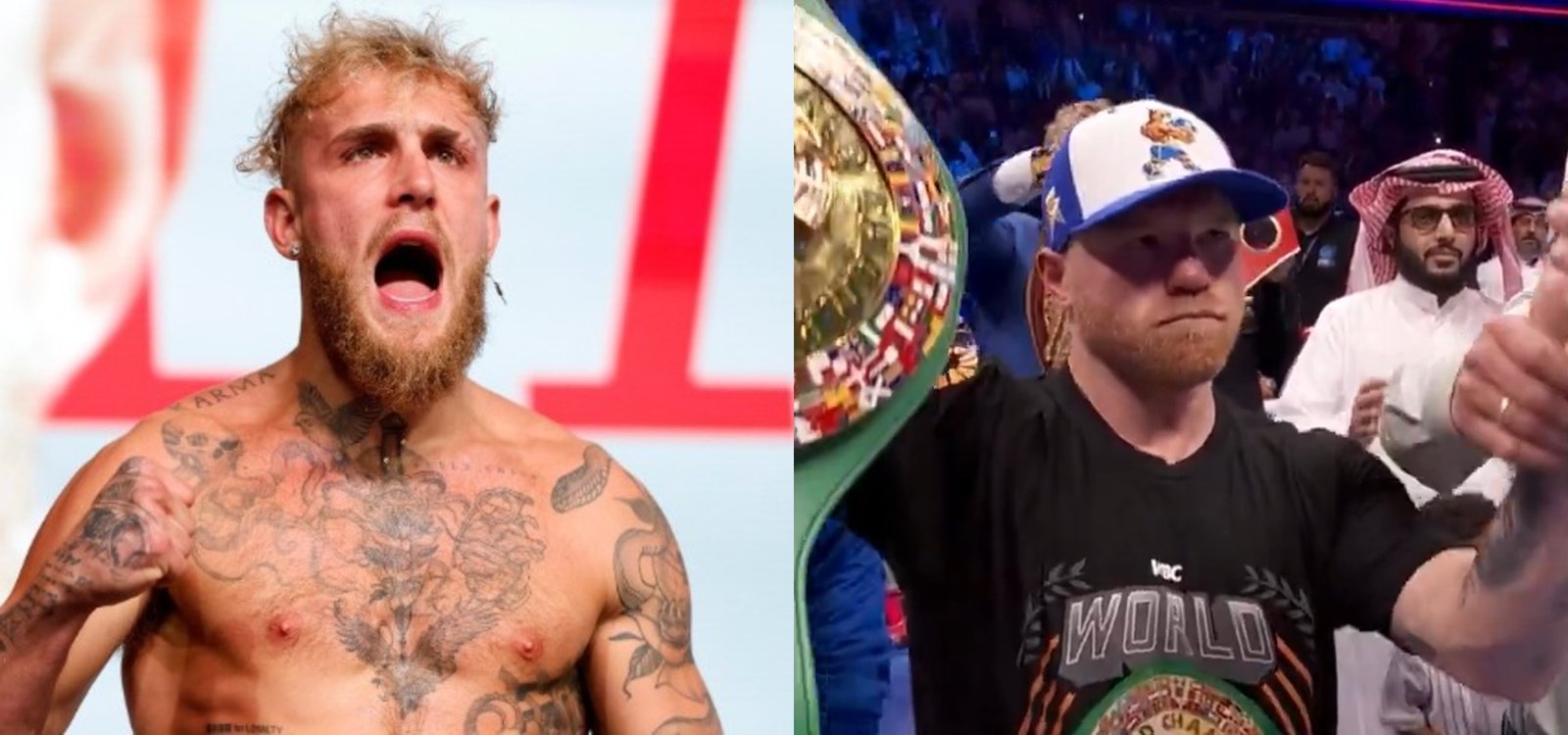 Jake Paul's Sour Reaction To Canelo Defeating William Scull