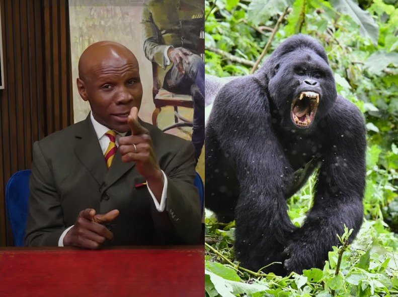 Chris Eubank Jr On If 100 Men Could Fight One Gorilla 2 Chris Eubank Jr On If 100 Men Could Fight One Gorilla