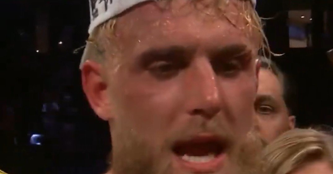 Jake Paul vs Chavez Jr Scorecard