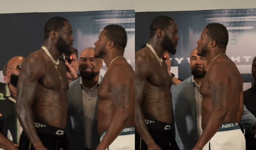 deontay wilder vs tyrrell herndon