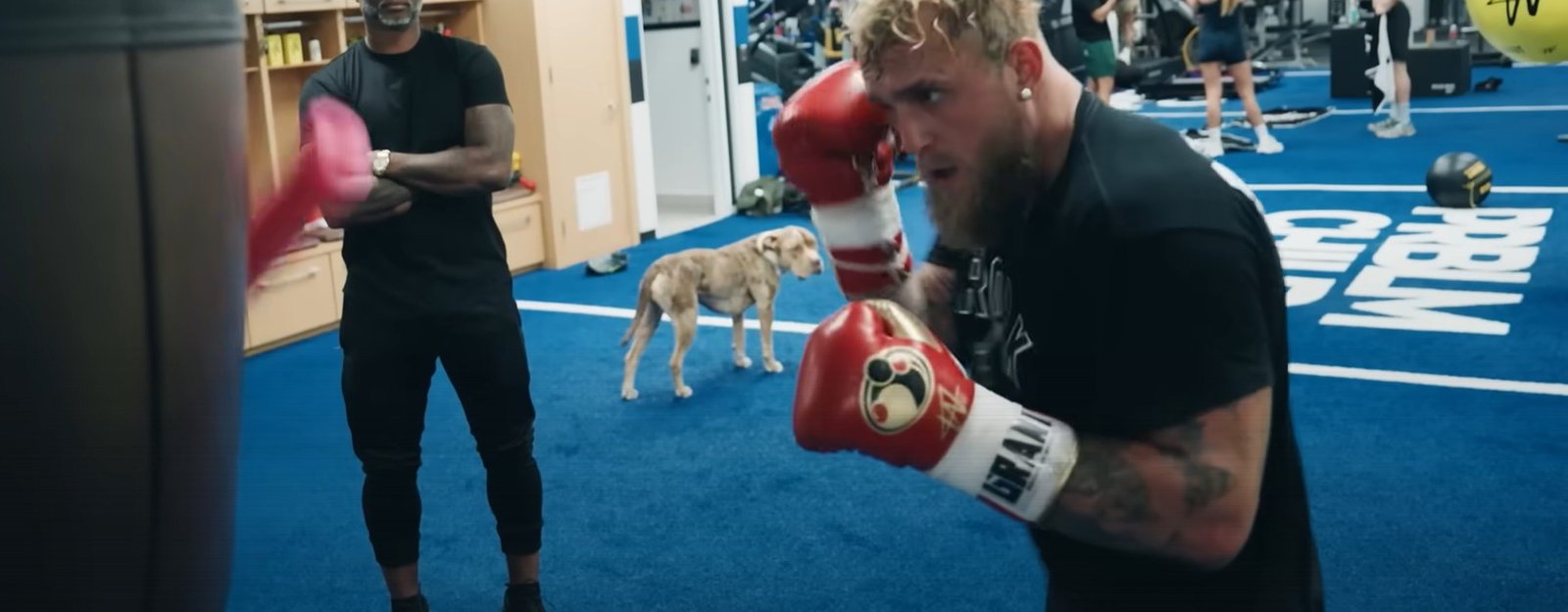 Jake Paul Is Not Playing