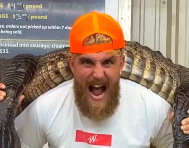 Jake Paul Kills Alligator For Joshua Fight Costume