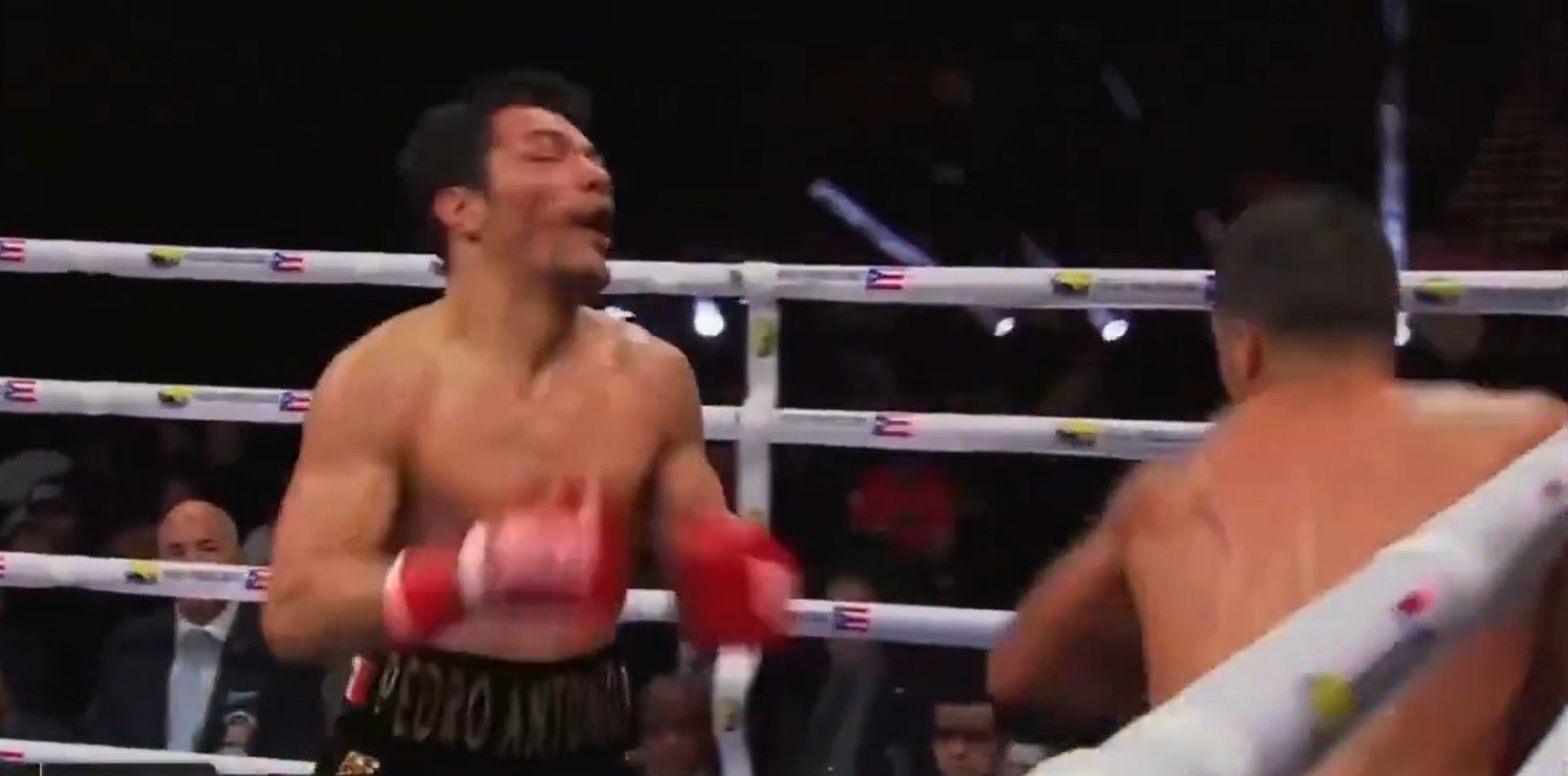 Bravo Scores Early 2026 Brutal Knockout Of The Year Contender