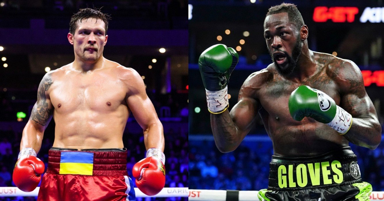 usyk vs wilder