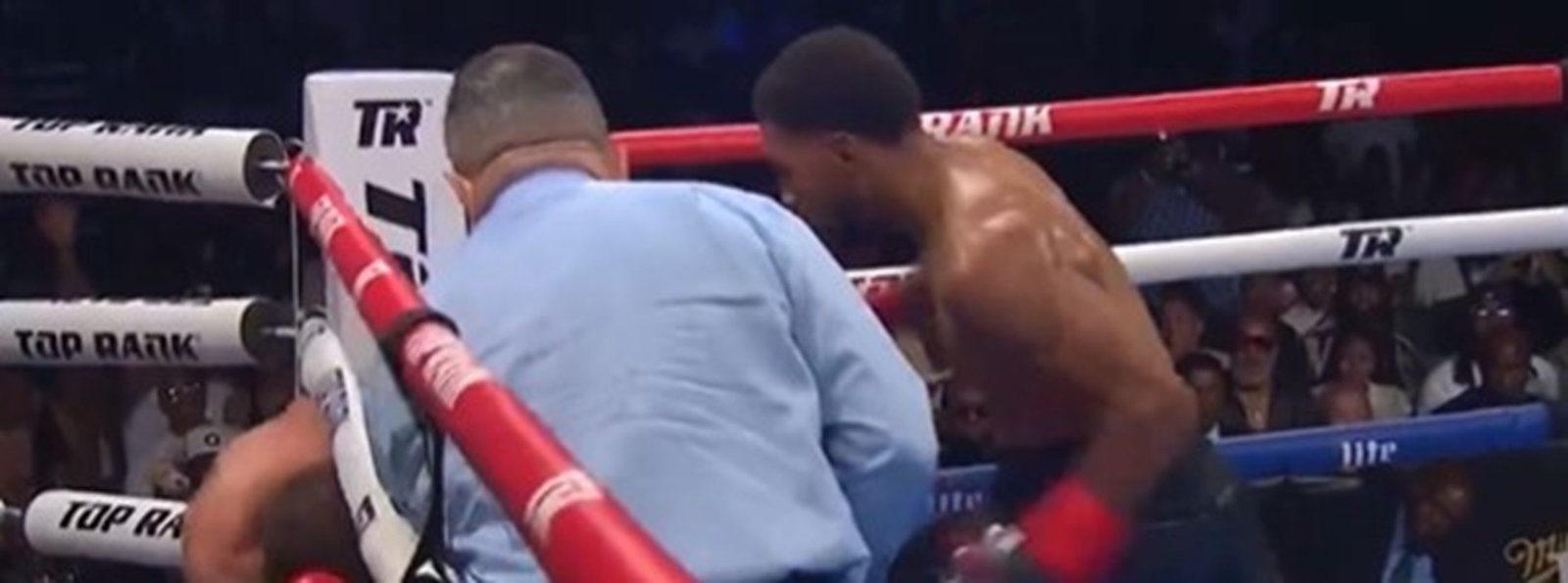 Brian Norman Jr Bounces Back From Devin Haney Defeat