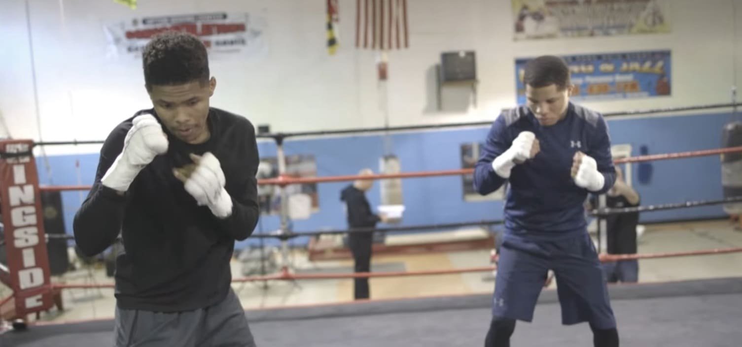 Shakur Stevenson vs Gervonta Davis fight