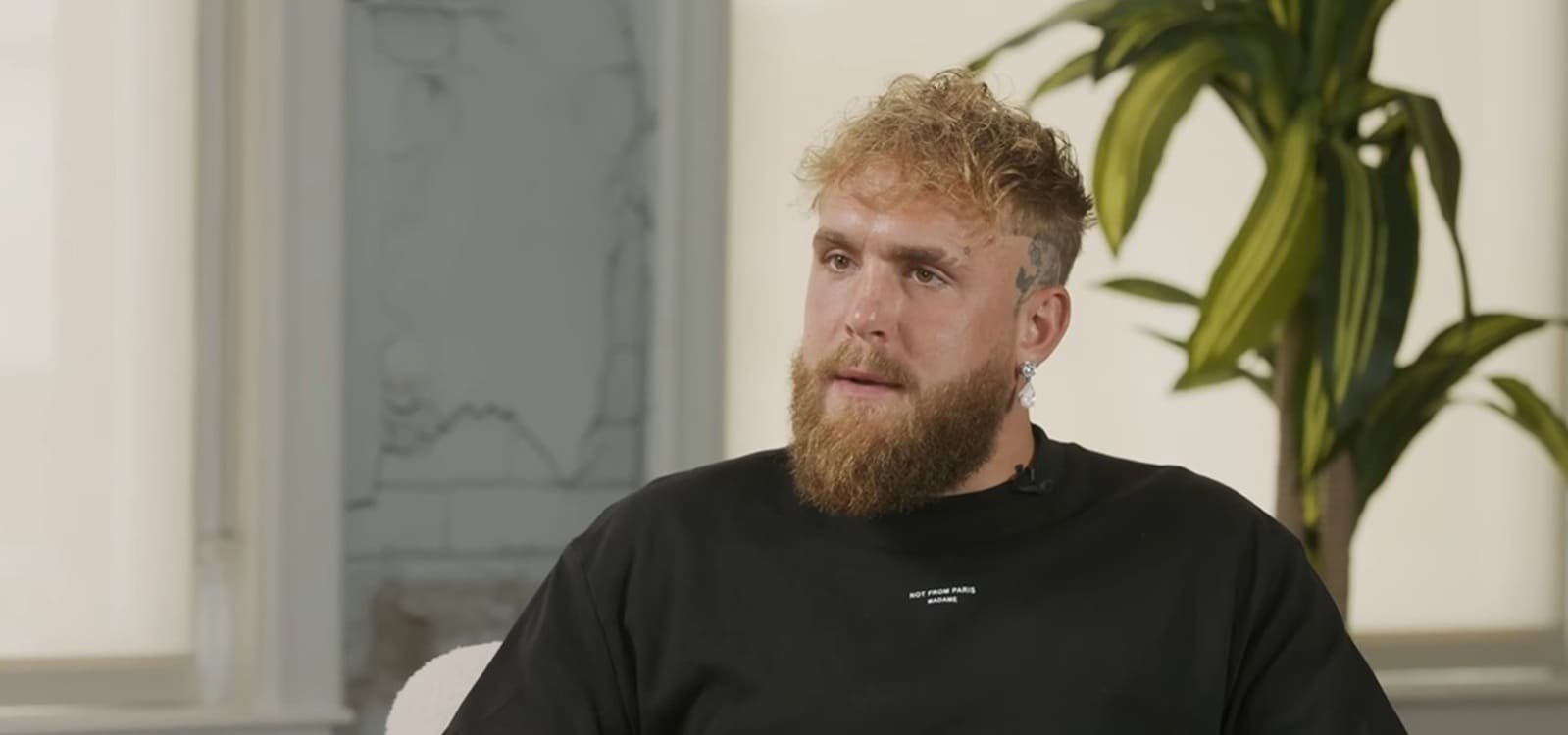 Jake Paul Apparently wants Francis Ngannou or Tommy Fury rematch why he needs to call it a day