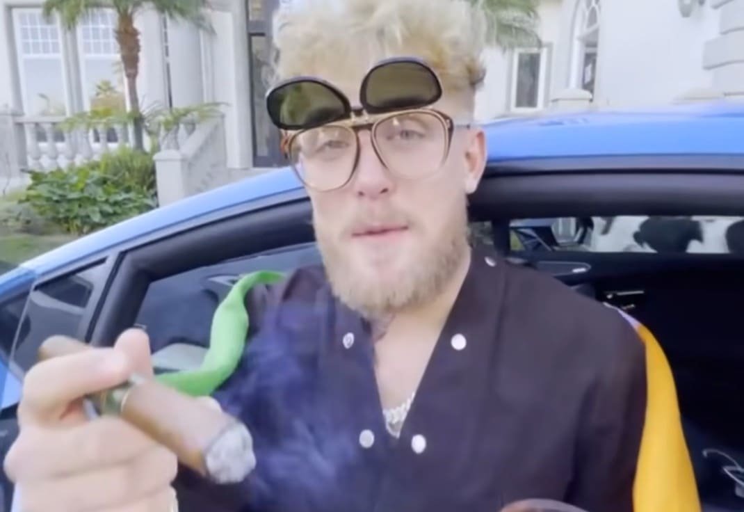 Jake Paul mocks Conor McGregor after Max Holloway defeat but Paul was brutally knocked out by Anthony Joshua